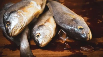 تطورات جديدة في أسعار السمك بالأسواق خلال تعاملات اليوم الجمعة 27 فبراير